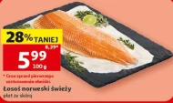 Łosoś Norweski
