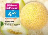 Melon