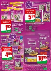 Smaczne okazje na każdy dzień – Dino