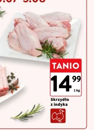 Крило індички