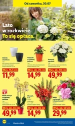 Najlepszy wybór na nowy tydzień - Lidl