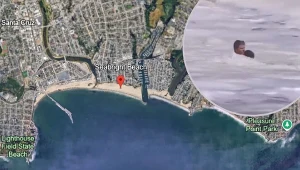 Dramatyczna akcja na plaży. Reaguje Trump, chce nadać odznaczenie