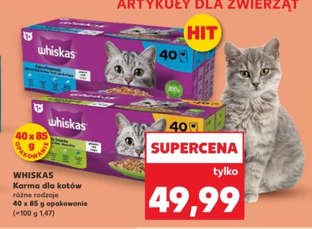 Корм для котів Whiskas
