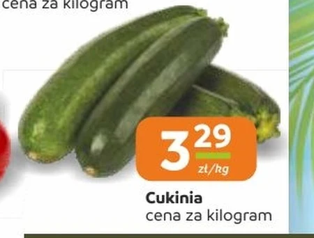 Кабачок