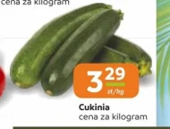 Кабачок