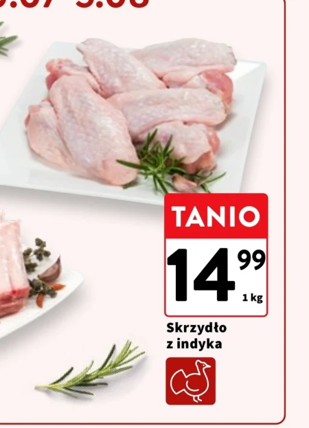 Крило індички
