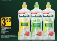 Płyn do naczyń Ludwik