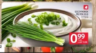 Цибуля