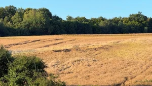 "Strach", "pojawił się śmigłowiec". Niespokojna noc na Lubelszczyźnie