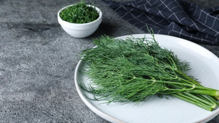Świeży koperek szybko traci jędrność i niezwykły aromat. Jak go przechowywać, by dłużej zachował świeżość?
