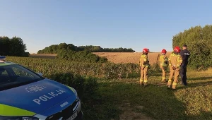 Wykryte, zgubione, znalezione. Ciężka noc wicepremiera Kosiniaka-Kamysza