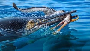Ichtiozaur pożerający pterozaura - to znalezisko z Australii