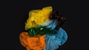 Plastik w naszym życiu. Jak naprawdę wpływa na nas i środowisko? (QUIZ)