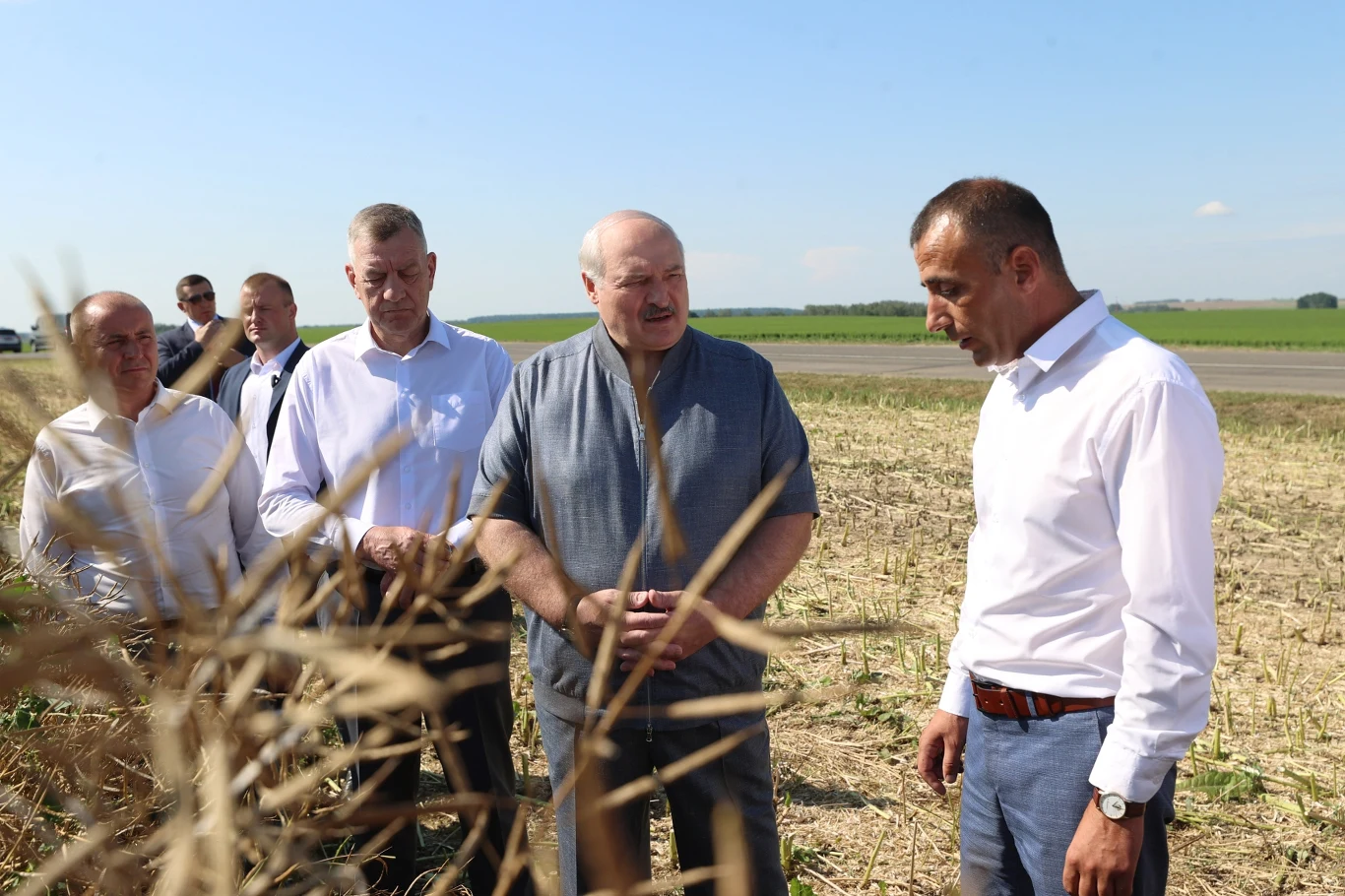 Grupa mężczyzn ubranych w koszule i spodnie stoi na polu uprawnym, prowadząc rozmowę i przyglądając się roślinom zbożowym na pierwszym planie, w tle otwarta przestrzeń pól oraz jasne, niebieskie niebo.