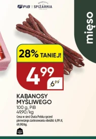 Кабаноси PiB