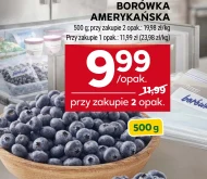 Borówka amerykańska