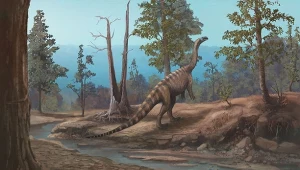 Aż trudno uwierzyć, że Musango matusadonaensis był przodkiem wielkich zauropodów