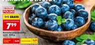 Borówka amerykańska Polski