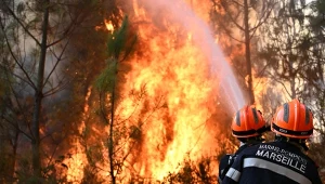 Pożary lasów objęły zachodnią Francję. Strażacy są u kresu możliwości ich gaszenia
