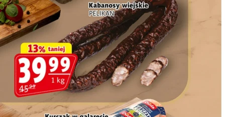 Кабаноси Pelikan