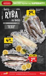 Świeżość z bogatej lady! - POLOmarket