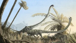 Tanystropheus był zwierzęciem z epoki triasu zapewne podobnym do Austronaga
