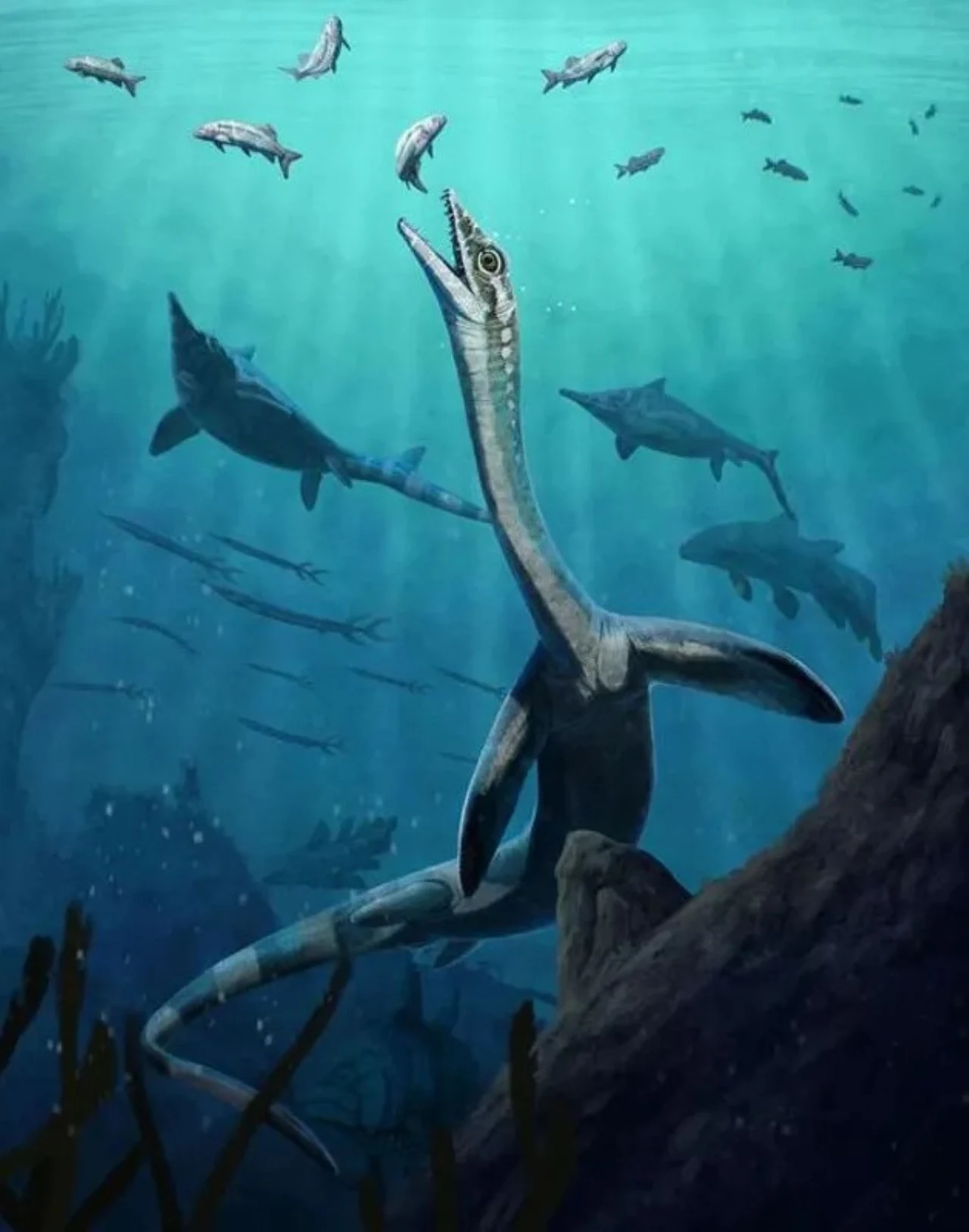Płetwojaszczur z długą szyją polujący na ryby wśród morskich drapieżników w prehistorycznym oceanicznym krajobrazie.