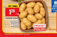 Ziemniaki Tillmann Bendikowski
