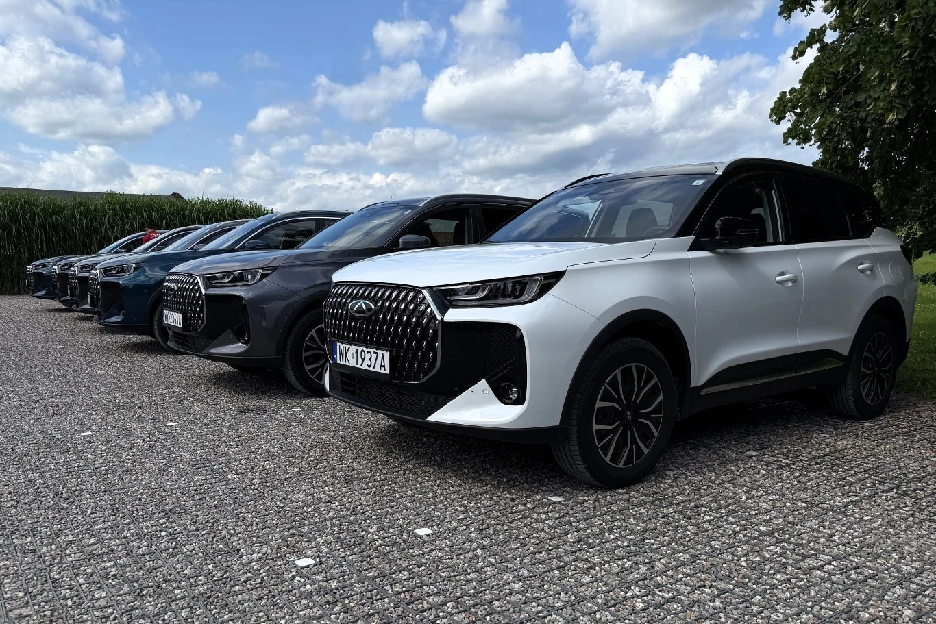 Szereg nowoczesnych SUV-ów ustawionych na parkingu, z przodu biały samochód z charakterystycznym, dużym grillem i czarnymi lusterkami, po lewej stronie kolejne auta w różnych odcieniach niebieskiego i szarości.