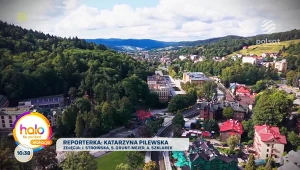 Krynica-Zdrój robi furorę. Największa kolekcja na świecie i pierwsza taka atrakcja w Polsce