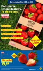 Tysiąc hitów na ten tydzień - Lidl