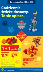 Tysiąc hitów na ten tydzień - Lidl