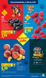 Tysiąc hitów na ten tydzień - Lidl