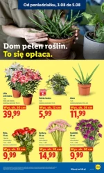 Tysiąc hitów na ten tydzień - Lidl