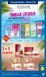 Tysiąc hitów na ten tydzień - Lidl