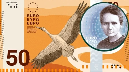 Bocian biały i Maria Skłodowska-Curie są na propozycjach nowych banknotów euro
