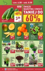 Wybieram Aldi, bo jest tanio! - Aldi