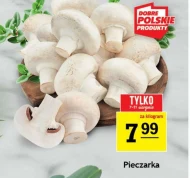 Гриби