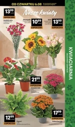 Świeżość w nowym wydaniu! - Delikatesy Centrum