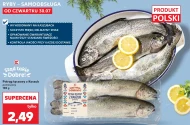 Райдужна форель K-Stąd Takie Dobre