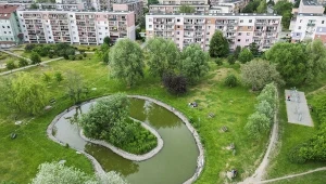 Tereny zielone w miastach poprawiają jakość życia mieszkańców