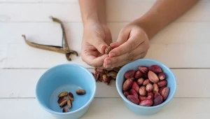 Pistacje nazywamy orzechami, choć tak naprawdę są nasionami.