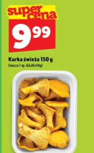 Kurka