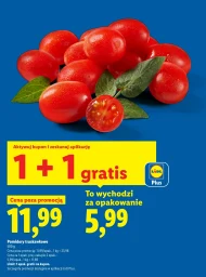 Pomidory Plus-Plus