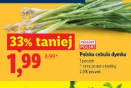 Cebula dymka Polski