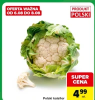 Kalafior Polski