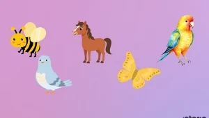 Psychotest: Każdy ma w sobie dziką naturę. Jaka jest twoja?