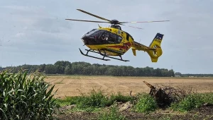 11-latek wjechał hulajnogą pod kombajn w Sypniu