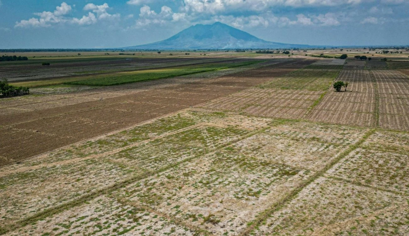 El Nino nie wpłynie znacząco na Polskę Wyschnięte pola uprawne w różnych odcieniach z widocznym samotnym wulkanem na tle nieba z lekkim zachmurzeniem.