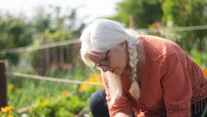 Wysiej na początku sierpnia. Wrześniowy ogród obsypie się kwiatami